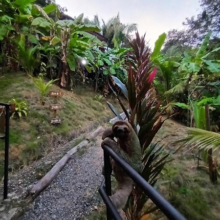 Hotel Glamping Tomaselli Nationalpark Nationalpark Manuel Antonio Exterior foto